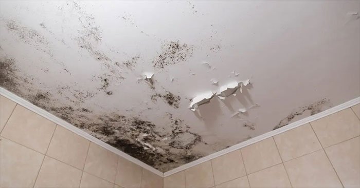 nguyên nhân gây nên tình trạng thấm dột và cách chống thấm với keo chà ron