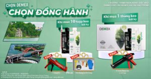 Chọn Demex – Chọn Đồng Hành: Chương trình ưu đãi tháng 7–8